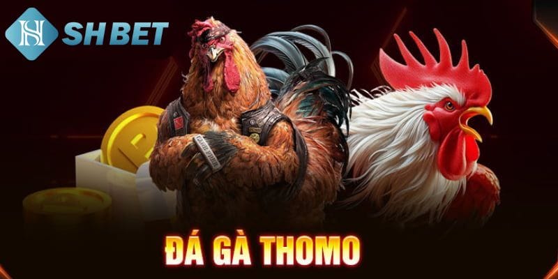 Tìm hiểu về đá gà hay nhất
