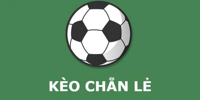 Giới thiệu thông tin về kèo chẵn lẻ